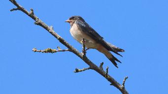 IMG_6289.jpg