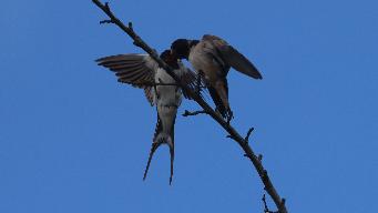 IMG_6311.jpg