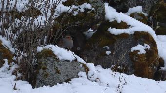 IMG_8374.jpg