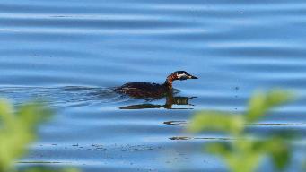 IMG_3035.jpg