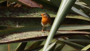 IMG_1864.jpg