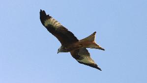 IMG_9134.jpg
