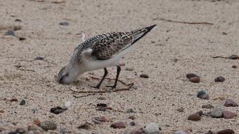 IMG_3914.jpg