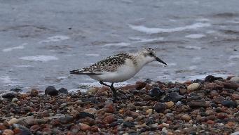 IMG_3972.jpg