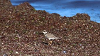 IMG_4041.jpg