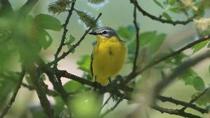 IMG_1574.jpg