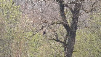 IMG_8642.jpg
