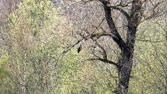 IMG_8662.jpg