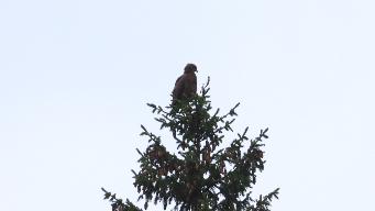 IMG_8684.jpg