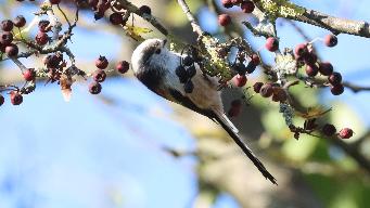 IMG_4624.jpg