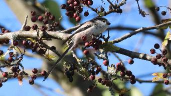 IMG_4632.jpg