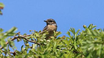 IMG_2986.jpg