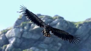 IMG_9778.jpg