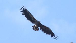 IMG_9780.jpg