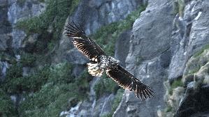 IMG_9823.jpg