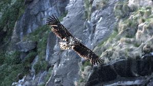 IMG_9824.jpg