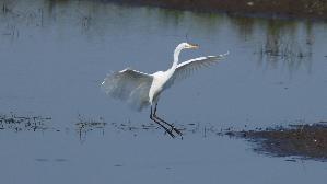 IMG_0847.jpg