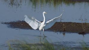 IMG_0850.jpg
