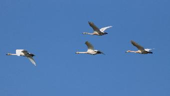 IMG_6894.jpg