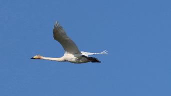 IMG_6895_1.jpg