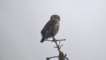 IMG_6938.jpg