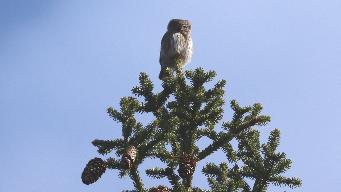 IMG_8042.jpg