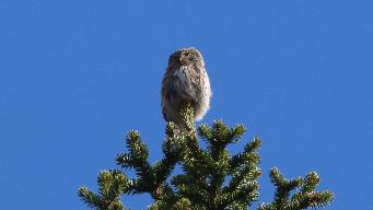 IMG_8052.jpg