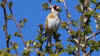 IMG_6155.jpg