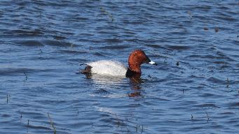 IMG_7456.jpg