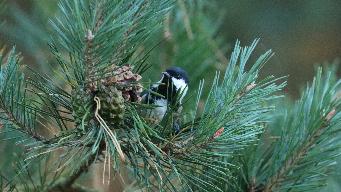 IMG_6540.jpg
