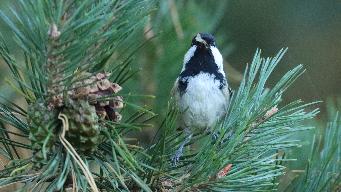 IMG_6548.jpg