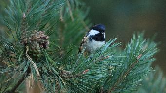 IMG_6552.jpg