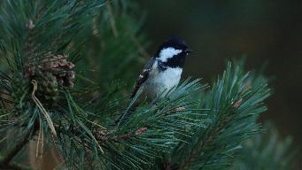 IMG_6554.jpg