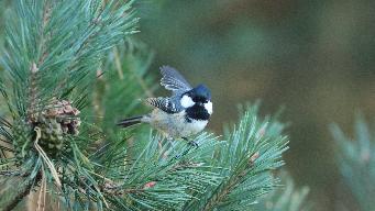 IMG_6558.jpg