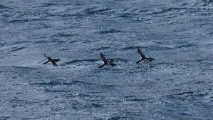 IMG_9641.jpg