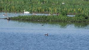 IMG_8988.jpg