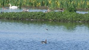 IMG_8989.jpg
