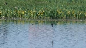 IMG_8999.jpg