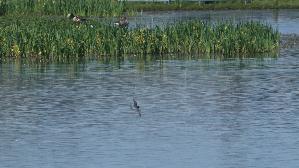IMG_9003.jpg