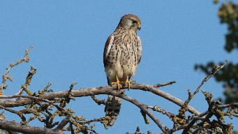 IMG_4549.jpg