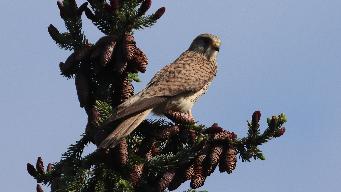 IMG_5877.jpg