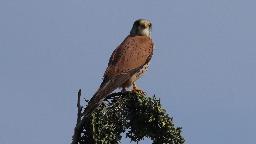 IMG_5888.jpg