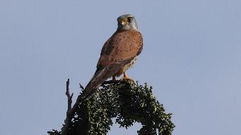 IMG_5890.jpg