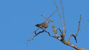 IMG_2356.jpg
