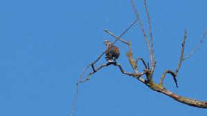 IMG_2362.jpg