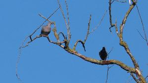 IMG_2395.jpg