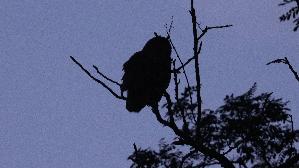 IMG_2263.jpg