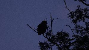 IMG_2271.jpg