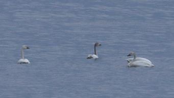 IMG_8965.jpg