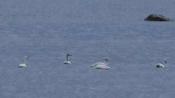 IMG_8969.jpg